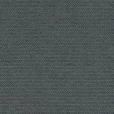 Dex Charcoal
