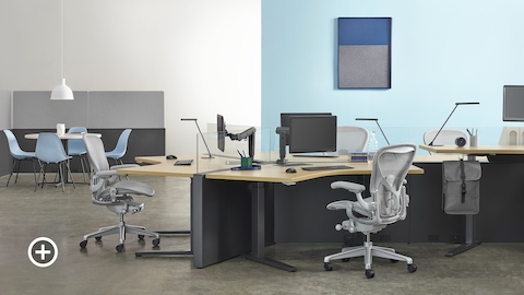 Estación de trabajo Canvas Channel con configuración en 120 grados, escritorios elevados Renew, y sillas para oficinas Aeron en gris claro con espacio colaborativo al fondo. Seleccione para dirigirse a la página de espacios de trabajo compartidos dentro de Canvas Lookbook.