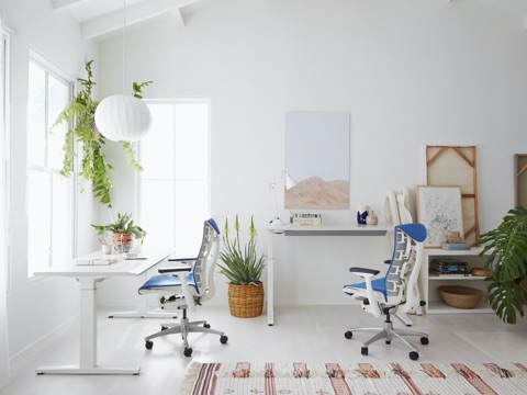 Blue and white Embody Chairs paired with ergonomic Renew Sit-to-Stand Desks, surrounded by plants and office accessories. Blue and white Embody Chairs paired with ergonomic Renew Sit-to-Stand Desks, surrounded by plants and office accessories.